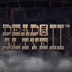 Dead or Alive 2 slot